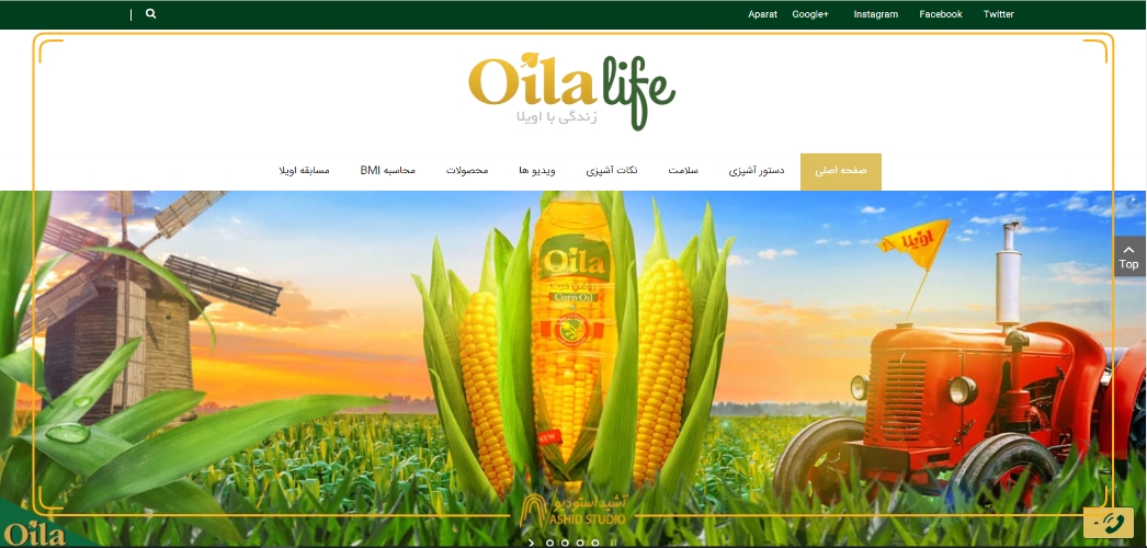 طراحی وب سایت شرکتی اویلا.jpg